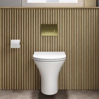 Indiana Wall Hung Toilet 820mm Pneumatic Frame & Cistern & Brushed Brass Flush Plate