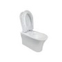 Indiana Wall Hung Toilet 820mm Pneumatic Frame & Cistern & Brushed Brass Flush Plate