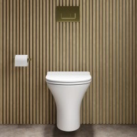 Indiana Wall Hung Toilet 1160mm Pneumatic Frame & Cistern & Brushed Brass Flush Plate
