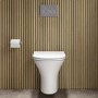 Indiana Wall Hung Toilet 1160mm Mechanical WC Frame & Cistern & Chrome Mechanical Flush Plate