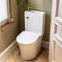 Close Coupled Open Back Toilet with Sink on Top & Brass Fittings Cloakroom Suite - Legend
