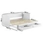 Double Wooden Day Bed with Trundle and Storage in White - Lincoln