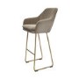 Set of 4 Mink Matt Velvet Bar Stool with Brass Legs - 77cm - Logan
