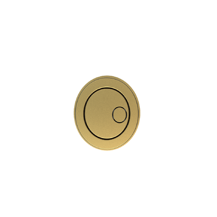 Arissa Brushed Brass Manual Push Button and Cistern