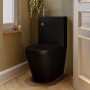 Matt Black Close Coupled Closed Back Toilet with Chrome Fittings & Sink on Top - Legend