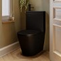 Matt Black Close Coupled Closed Back Toilet with Black Fittings & Sink on Top - Legend