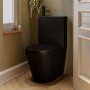 Matt Black Close Coupled Closed Back Toilet with Black Fittings & Sink on Top - Legend