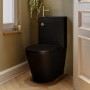Matt Black Close Coupled Closed Back Toilet with Brass Fittings & Sink on Top - Legend
