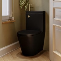 Matt Black Close Coupled Closed Back Toilet with Brass Fittings & Sink on Top - Legend