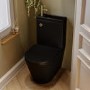 Matt Black Close Coupled Closed Back Toilet with Brass Fittings & Sink on Top - Legend