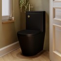 BUN/MBLEGCBPAN/97849 Matt Black Close Coupled Closed Back Toilet with Sink on Top & Brass Fittings Cloakroom Suite - Legend