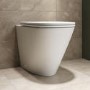 Matt White Back to Wall Rimless Toilet with Soft Close Seat - Newport