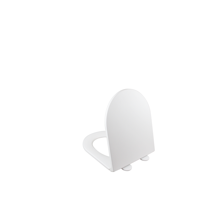 Matt White Back to Wall Rimless Toilet with Soft Close Seat - Newport