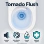 Wall Hung Rimless Short Projection Toilet with Soft Close Seat and Tornado Flush – Newport