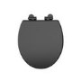 Back to Wall Traditional Toilet with Black Wooden Soft Close Seat - Park Royal