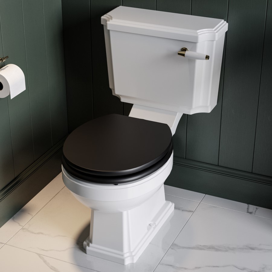 Close Coupled Traditional Toilet with Black Wooden Soft Close Seat & Brushed Brass Handle - Park Royal