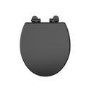 Close Coupled Traditional Low Level Short Projection Toilet with Black Wooden Soft Close Seat & Brass Fittings - Park Royal