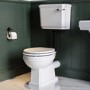 Park Royal  LL WC and WG Wood Soft Close Seat - Matt Black Flush Kit & Handle 
