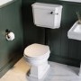 Park Royal  LL WC and WG Wood Soft Close Seat - Matt Black Flush Kit & Handle 