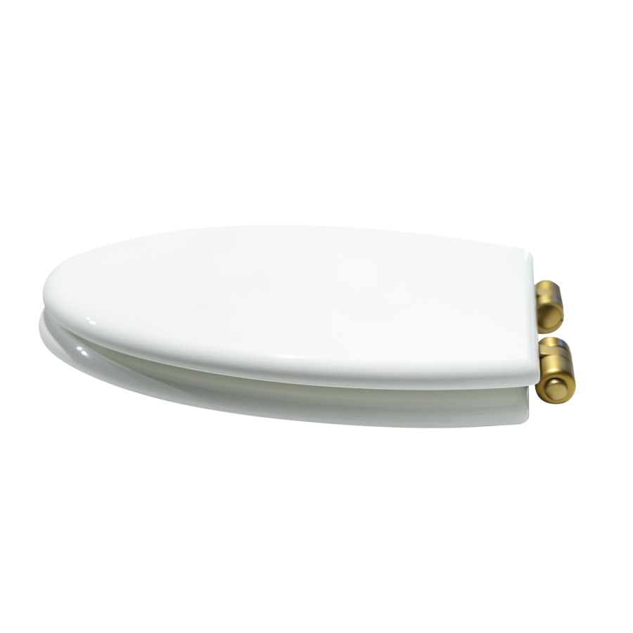 Park Royal  LL WC and WG Wood Soft Close Seat - Brushed Brass Flush Kit & Handle 