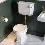 Park Royal  LL WC and WG Wood Soft Close Seat - Brushed Brass Flush Kit & Handle 