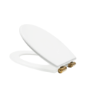 Park Royal  LL WC and WG Wood Soft Close Seat - Brushed Brass Flush Kit & Handle 