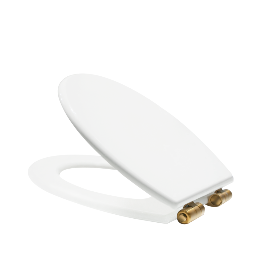 Park Royal  LL WC and WG Wood Soft Close Seat - Brushed Brass Flush Kit & Handle 