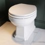 White Round Wooden Soft Close Toilet Seat with Quick Release and Brass Hinges - Park Royal