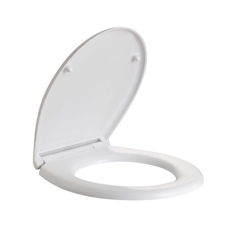 Back to Wall Rimless Toilet and Soft Close Seat - Ripley