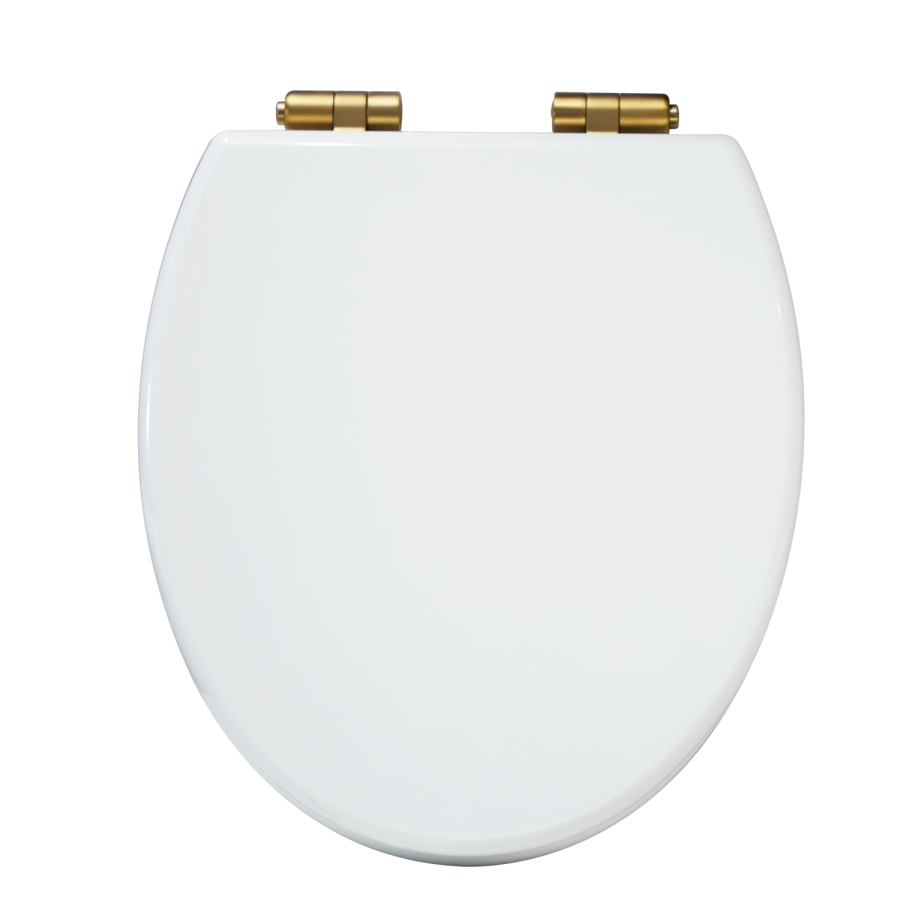 Back to Wall Rimless Toilet and Soft Close Seat with Brushed Brass Hinges - Ripley