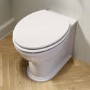 Back to Wall Rimless Toilet and Wooden Soft Close Seat with Chrome Hinges - Ripley