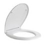 Close Coupled Rimless Toilet with Soft Close Seat - Ripley