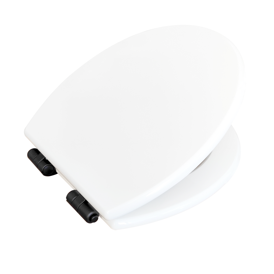 Close Coupled Rimless Toilet with Soft Close Seat and Matt Black Fittings - Ripley