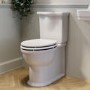 Close Coupled Rimless Toilet with Soft Close Seat and Brushed Brass Fittings - Ripley