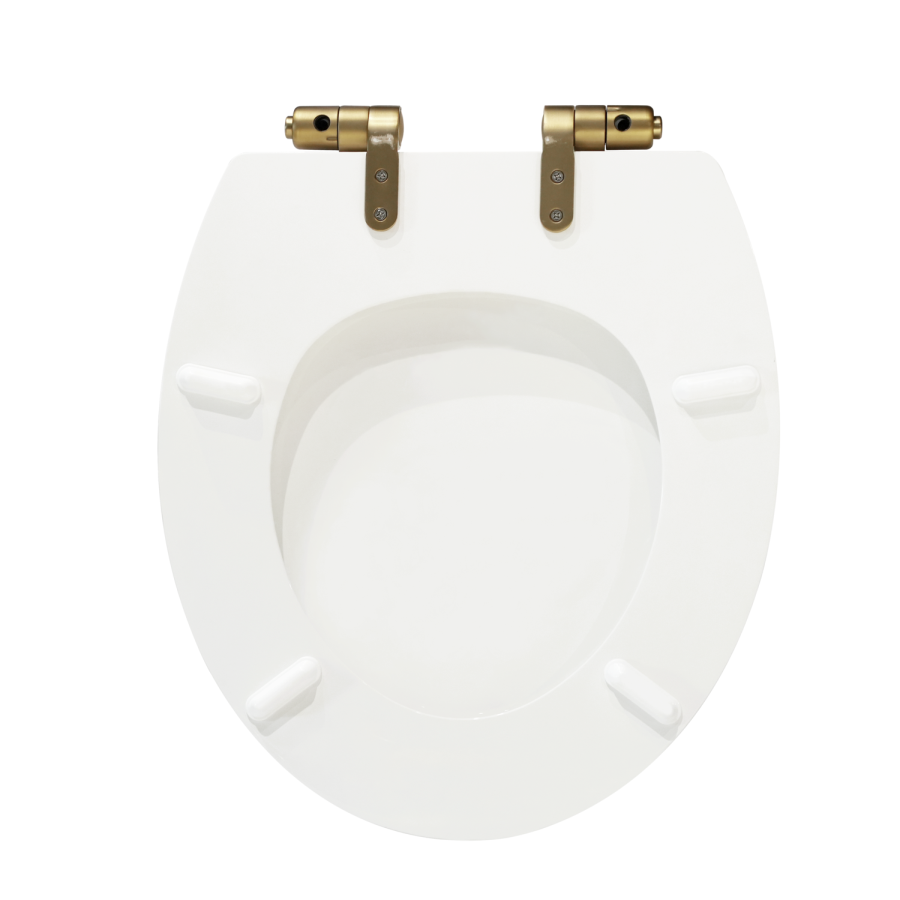 Close Coupled Rimless Toilet with Soft Close Seat and Brushed Brass Fittings - Ripley