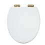 Close Coupled Rimless Toilet with Soft Close Seat and Brushed Brass Fittings - Ripley