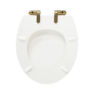 Close Coupled Rimless Toilet with Soft Close Seat and Brushed Brass Fittings - Ripley