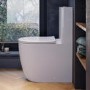 White Comfort Height Close Coupled Toilet - Roma