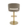 Set of 2 Curved Mink Matt Velvet Adjustable Swivel Bar Stools with Gold Base - Runa