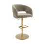 Set of 4 Curved Mink Matt Velvet Adjustable Swivel Bar Stool with Gold Base - Runa