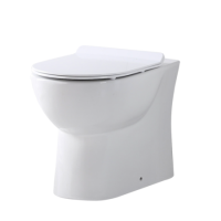 Back to Wall Toilet with Soft Close Seat