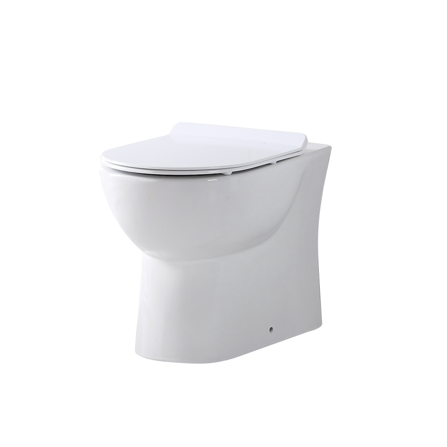 Back to Wall Toilet with Soft Close Seat