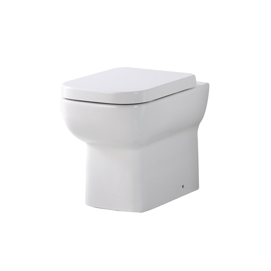 Back to Wall Toilet with Soft Close Toilet Seat