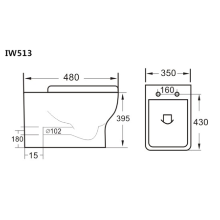 Back to Wall Toilet with Soft Close Toilet Seat