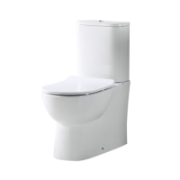 Rimless Close Coupled Back to Wall Toilet with Soft Close Seat