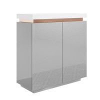 Slim Grey Gloss Shoe Cabinet with 2 Doors - Vivienne