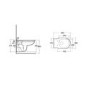 Rimless Wall Hung Toilet with Soft Close Seat - RAK Washington 