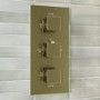 Brushed Brass Dual Outlet Wall Mounted Thermostatic Mixer Shower with Hand Shower - Zana