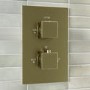 Brushed Brass Single Outlet Thermostatic Mixer Shower With Hand Shower- Zana