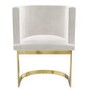 Light Grey Velvet Cantilever Accent Chair with Gold Legs - Zelena